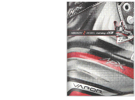 Katalog Hockeyrebel 2011 Online